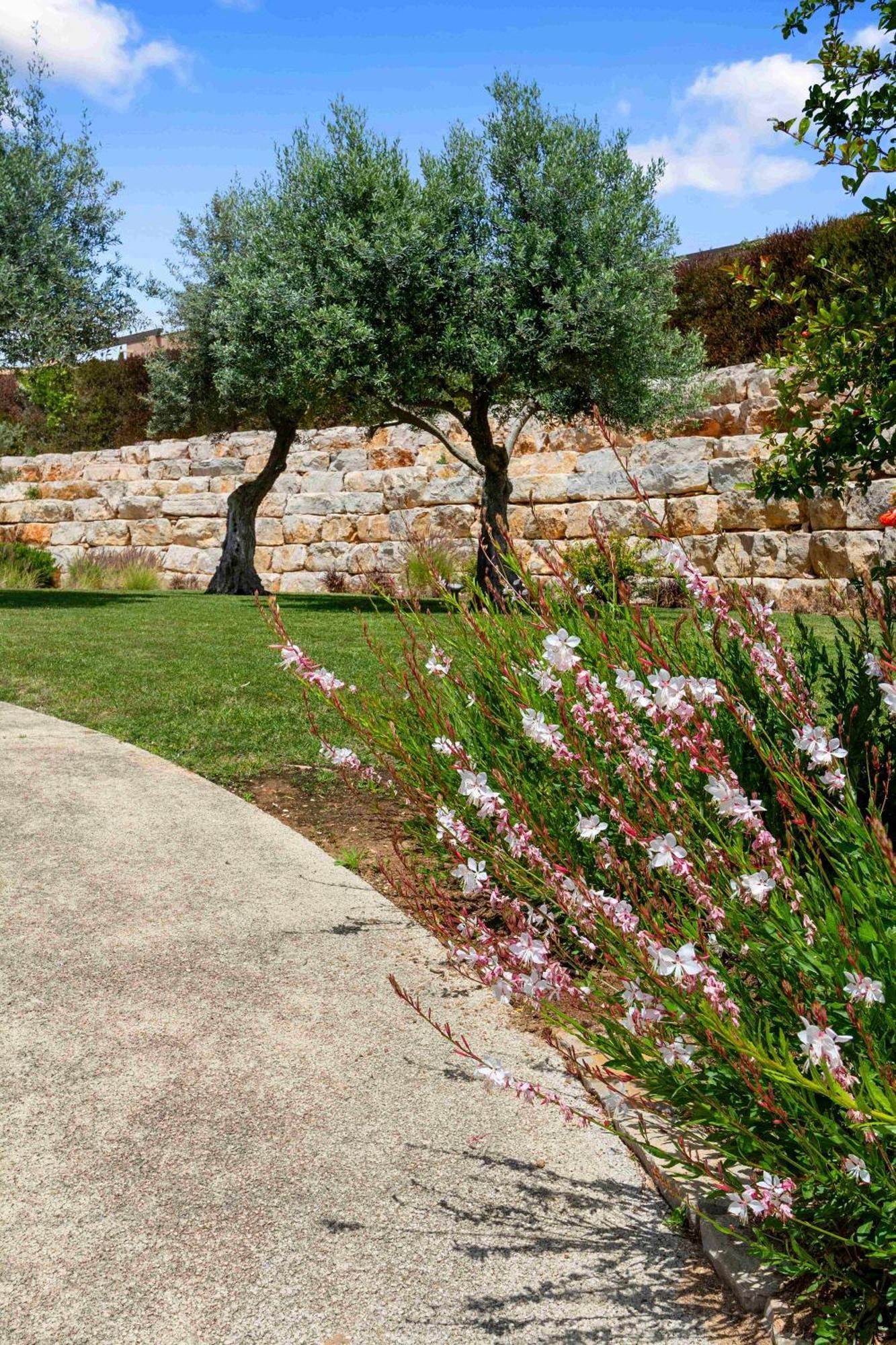 Vale De Milho Village Carvoeiro  Ruang foto